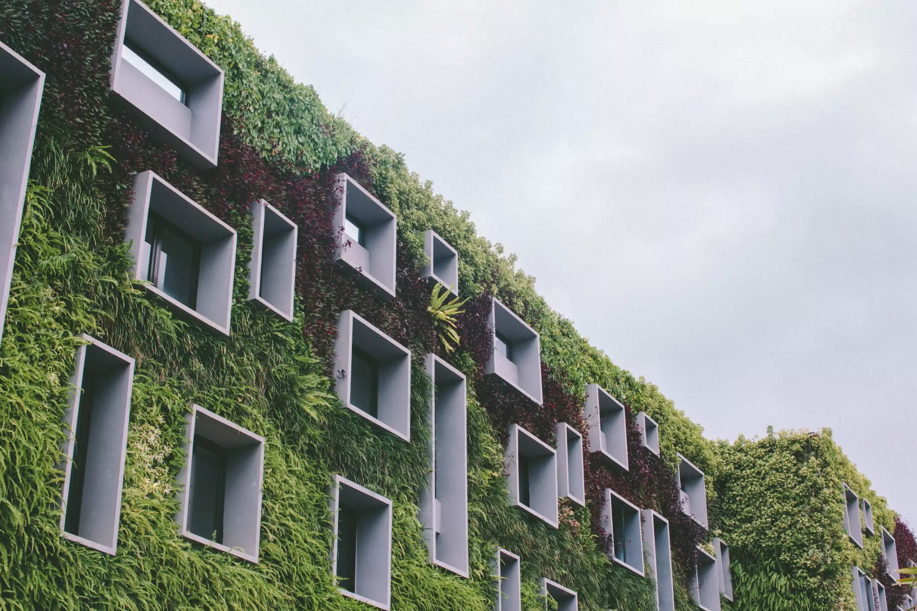 ecodesign in practice