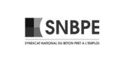 SNBPE_logo