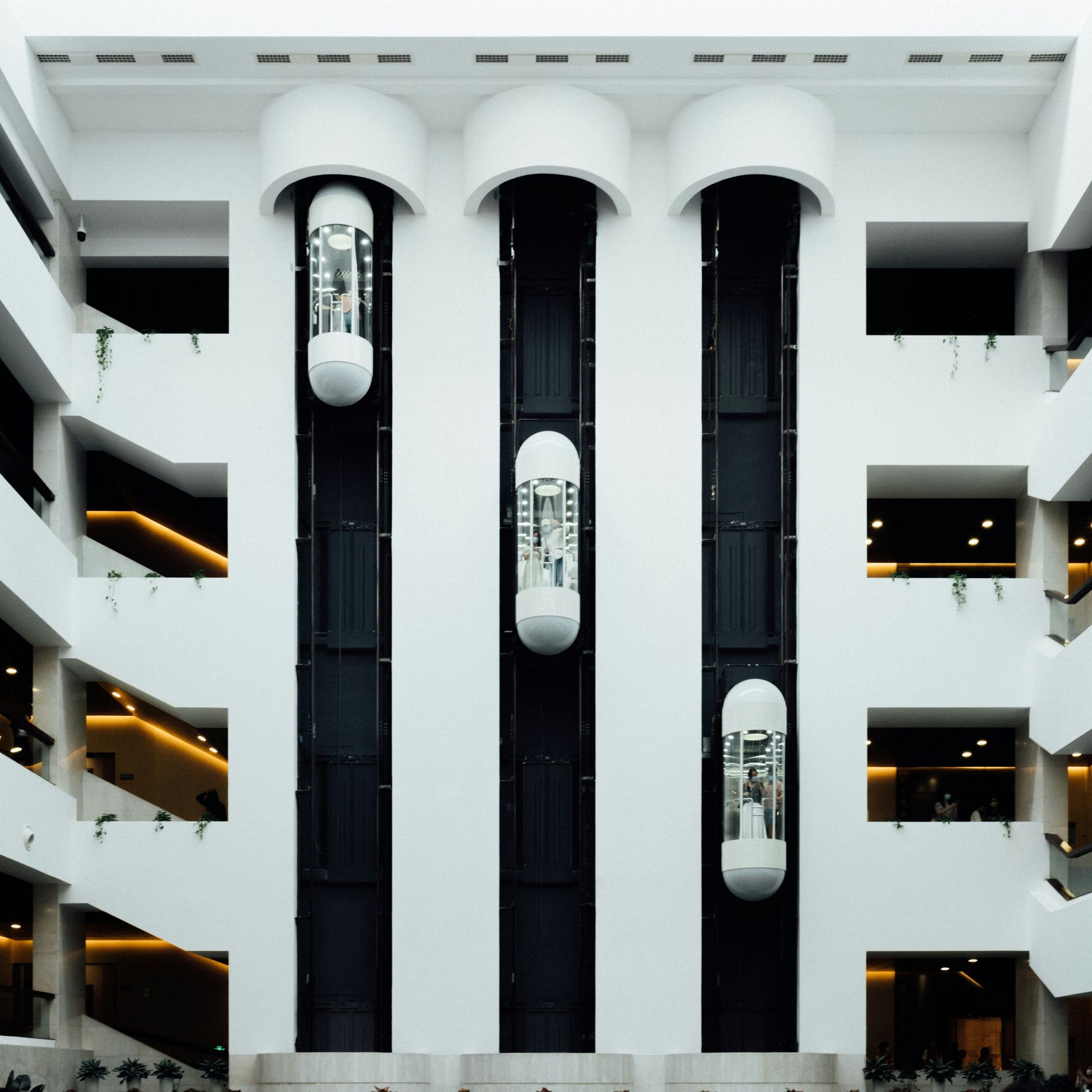 External elevators in a modern building