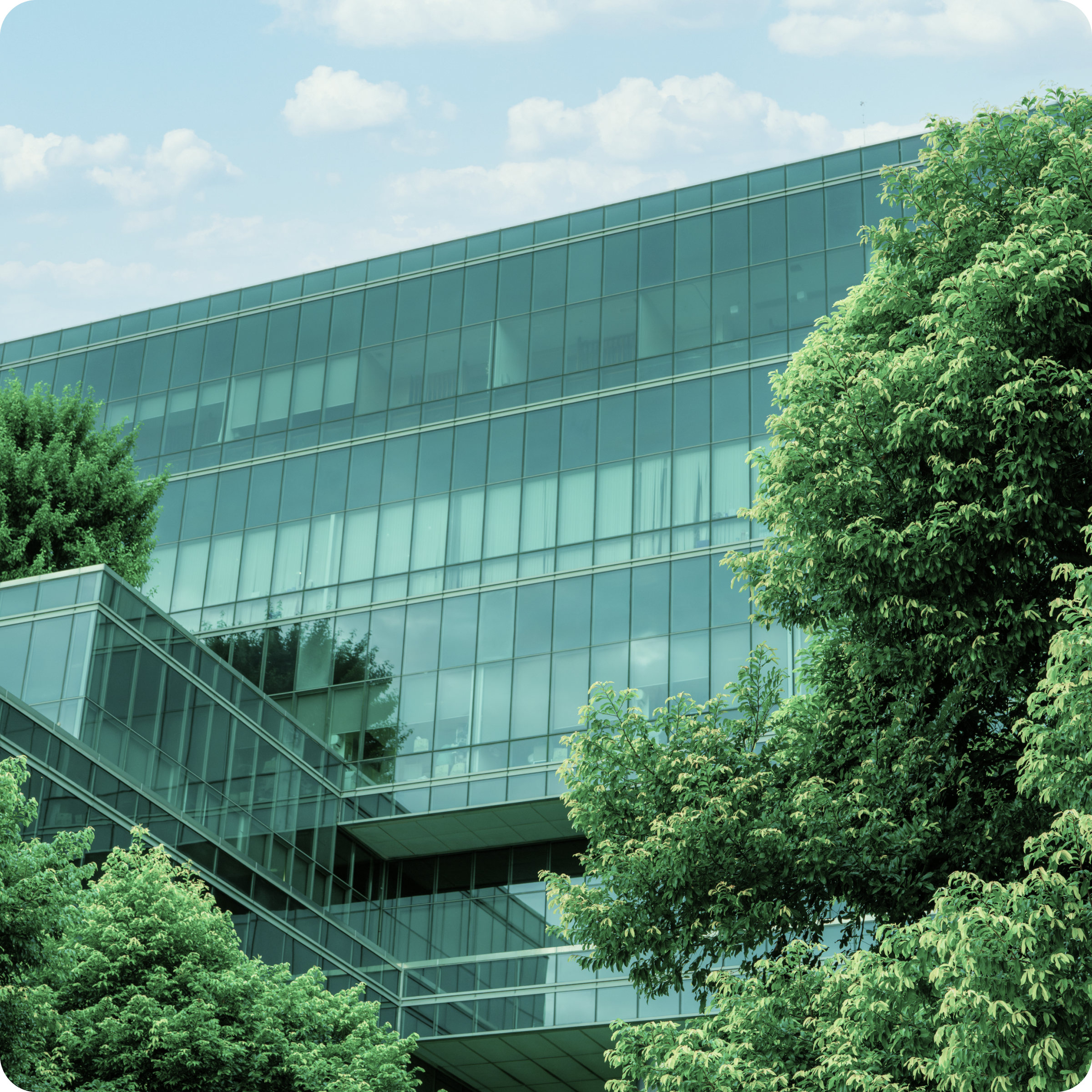 ESPR newsletter